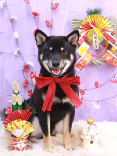 20230124マロくん